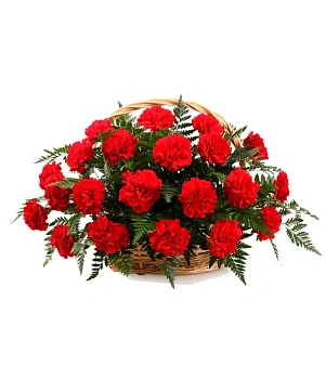 20 гвоздик в корзине