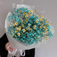 Букет_Голубая гипсофила и кустовая ромашка