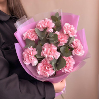 9 розовых гвоздик с эвкалиптом