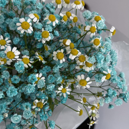 Букет_Голубая гипсофила и кустовая ромашка