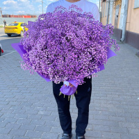 15 фиолетовых гипсофил