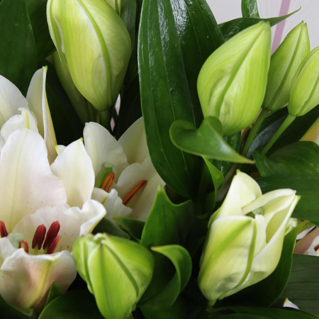 Букет_11 лилий в упаковке