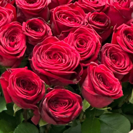Букет_101 бордовая роза Премиум