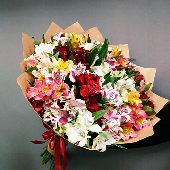 Яркая альстромерия